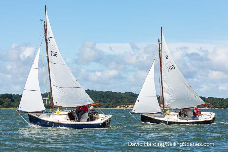 2024 International Paint Poole Regatta Day 3 photo copyright David Harding / www.sailingscenes.com taken at Parkstone Yacht Club and featuring the Shrimper class