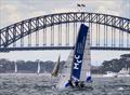 Manly 16ft Skiff Sailing Club Port Jackson Championship  © SailMedia