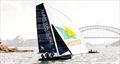 Port Jackson Championships - AST © Michael Chittenden SailMedia