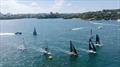 Race to the weather mark - 18ft Skiff NSW Championship 2024 © SailMedia