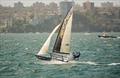Aristocrat at speed on the two-sail race to the finish - JJ Giltinan World 18 Footer Championship © Frank Quealey