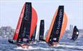 Shaw and Partners in action at the Giltinan Championsship © SailMedia