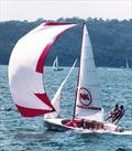 Nock and Kirbys, spinnaker run in the 1970s © Frank Quealey