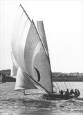 Britannia (Colin Clark) 1917 Australian champion © Norman R. Wright and Sons collection