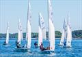 Quantum Snipe U.S. National Championship 2024 at Jubilee Yacht Club © Bruce Durkee