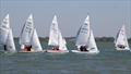 Snipe open weekend at Blackwater SC © Belinda Sturge