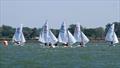 Snipe open weekend at Blackwater SC © Belinda Sturge