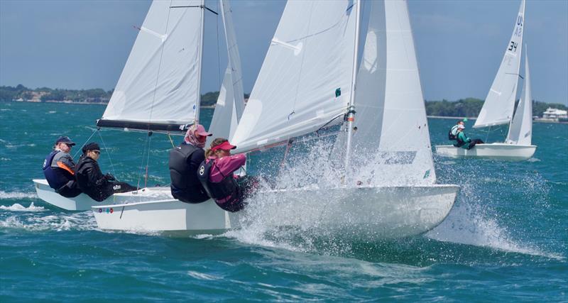 60th Annual Don Q Rum Snipe Regatta - photo © Coconut Grove Sailing Club