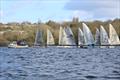 Broadwater Solo Open 2024 © Andy Wheeler