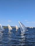 HD Scottish Solo Travellers at Chanonry © Maria Astill Brown