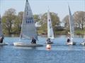 Border Counties Midweek Sailing Series at Nantwich © Brian Herring