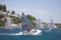 Salcombe Yacht Club Solo Open © Lucy Burn