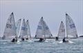 Salcombe Yacht Club Solo Open © Lucy Burn