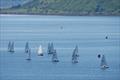 HD Sails Scottish Solo travellers at Largs - Ben Ledi trophy © Jon Bassett