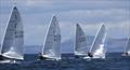 Noble Marine Solo Nationals at East Lothian - Day 5 © Will Loy