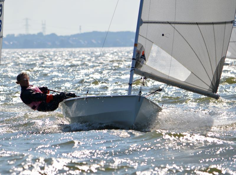 Saskia Arnold blasting to the spreader mark on Day 1 - Solo class ONK Open Dutch National Championship photo copyright Will Loy taken at Royal Netherlands Yacht Club and featuring the Solo class