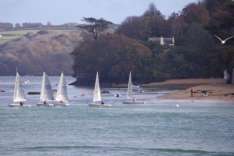 Salcombe Yacht Club Winter Series Race 3 photo copyright Lucy Burn taken at Salcombe Yacht Club and featuring the Solo class