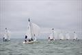 Fleet downwind under spinns - Susan Widmann Sinclair Women's Championship © Rick Bannerot / www.ontheflyphoto.net