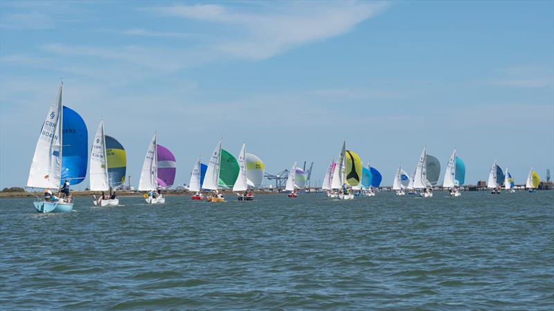 Sonata Nationals 2024 at Medway YC photo copyright Paul Babington taken at Medway Yacht Club and featuring the Sonata class