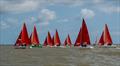 Squibs at the Royal Norfolk & Suffolk Yacht Club June Regatta © Bob Girling