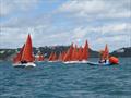 Squib Nationals 2025 at Torbay Day 4 © Nicola Davies