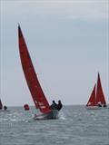 Squib Nationals 2025 at Torbay Day 4 © Nicola Davies