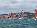 Squib Nationals 2025 at Torbay Day 4 © Nicola Davies