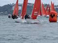 Squib Nationals 2025 at Torbay Day 4 © Nicola Davies