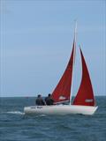 Squib Nationals 2025 at Torbay Day 4 © Nicola Davies