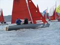 Squib Nationals 2025 at Torbay Day 4 © Nicola Davies