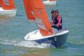 Squib East Coast Championship at Royal Burnham YC &copy; Roger Mant
