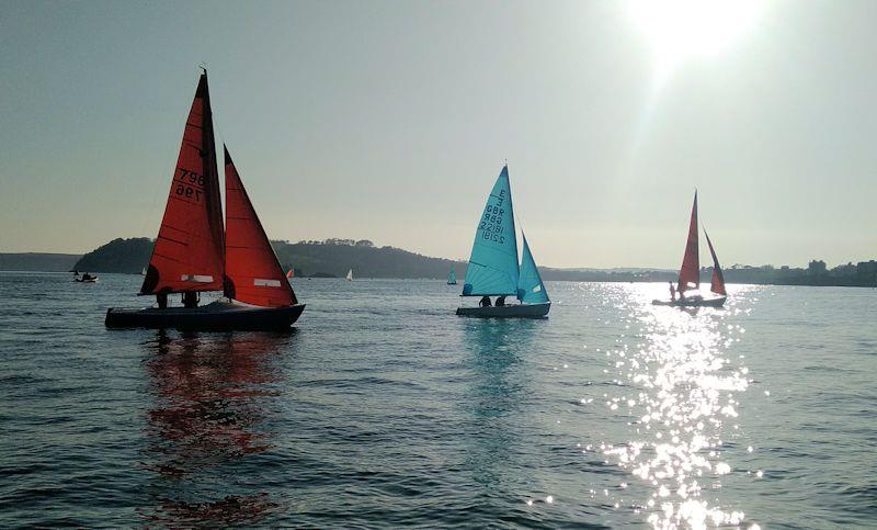 Force 4 Summer Series at Royal Plymouth Corinthian YC photo copyright Andrew Sinclair taken at Royal Plymouth Corinthian Yacht Club and featuring the Squib class