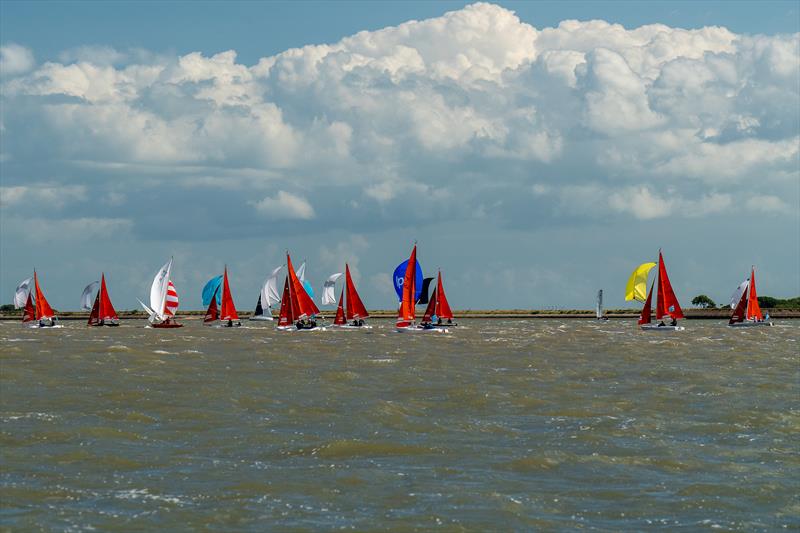 Squibs were the largest fleet during the second day of Burnham Week 2024 - photo © Petru Balau Sports Photography / sports.hub47.com