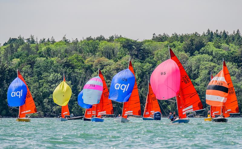 Cowes Classics Regatta 2025 Day 2 - Squibs racing in Osborne Bay - photo © Tim Jeffreys Photography