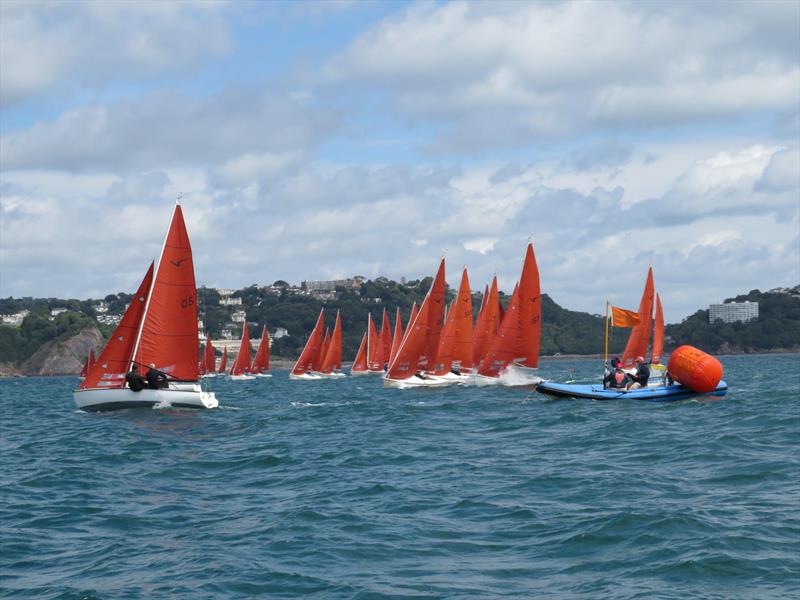 Squib Nationals 2025 at Torbay Day 4 photo copyright Nicola Davies taken at Royal Torbay Yacht Club and featuring the Squib class