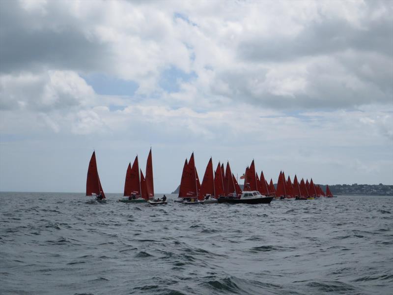 Squib Nationals 2025 at Torbay Day 4 photo copyright Nicola Davies taken at Royal Torbay Yacht Club and featuring the Squib class