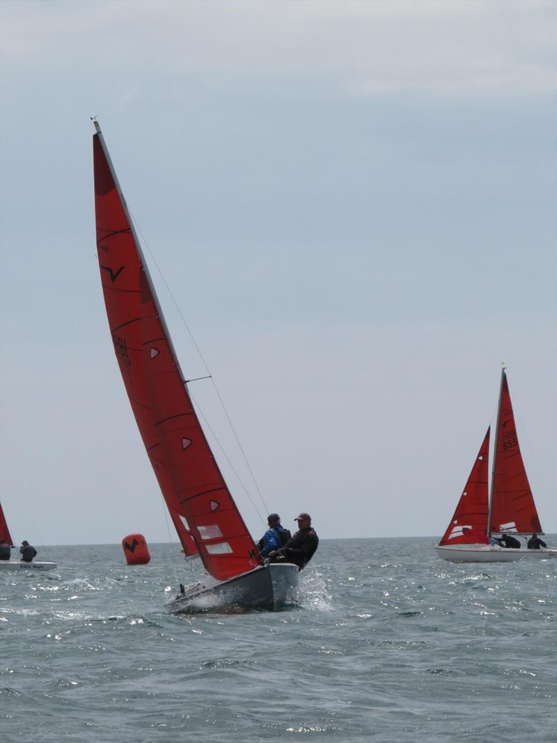 Squib Nationals 2025 at Torbay Day 4 photo copyright Nicola Davies taken at Royal Torbay Yacht Club and featuring the Squib class