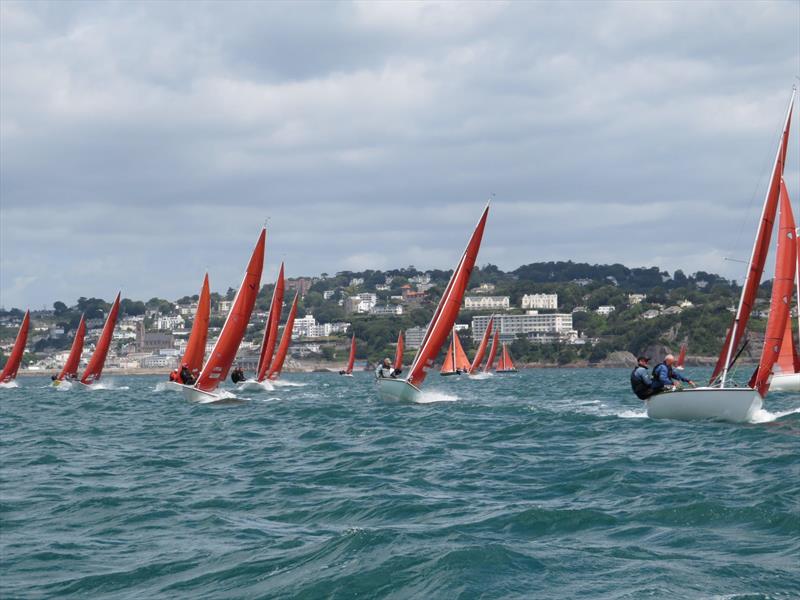 Squib Nationals 2025 at Torbay Day 4 photo copyright Nicola Davies taken at Royal Torbay Yacht Club and featuring the Squib class