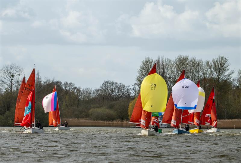 Downwind leg during the Squib Broadland Regatta 2026 - photo © Bob Girling
