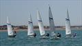 Streakers at Newhaven & Seaford Sailing Club © Chris Turner