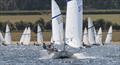 Tom Gillard wins 4 out of 5 races during the Noble Marine Golden Jubilee Streaker Nationals at Rutland © Paul Sanwell / OPP