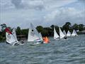 Sunfish racing action on the waters off the Savannah Yacht Club © the Savannah Yacht Club