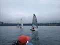 Optimal Scottish Supernova Cup at Port Edgar Yacht Club © Calum Robertson