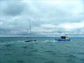 2025 Swallow Nationals at Bembridge © Mike Samuelson