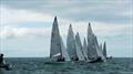 2025 Swallow Nationals at Bembridge © Mike Samuelson