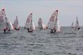 Tasar South West Championship at Porthpean © Clare Royle