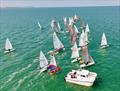 Whitstable Week 2025 © Ayhan Betez