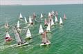 Whitstable Week 2025 © Ayhan Betez