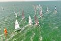 Whitstable Week 2025 © Ayhan Betez