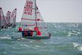 Tasar Europeans 2026 at Hythe and Saltwood &copy; Jeremy Speakman